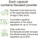 Riboflavin 5'-Phosphate 50 mg - 90 Vegetarian Capsules - Bioactive Vitamin B2 Supplement for Energy & Metabolism - Buy Online on GoSupps.com