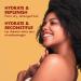 Shea Moisture Manuka Honey and Mafura Oil Shampoo and Conditioner For Extra Dry Damaged Hair Formulated Without Sulfates Silicones Parabens Phthalates Mineral Oil or Petrolatum 2 Pack - Buy Online on GoSupps.com