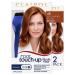 Clairol Root Touch-Up by Nice'n Easy Permanent Hair Dye, 6R Light Auburn/Reddish Brown Hair Color, Pack of 2 6R Light Auburn/Reddish Brown Pack of 2