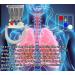 ALRIER Deep Breathing Respiratory Exerciser - Lung Health Breath Measurement System - Buy Online on GoSupps.com
