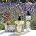 Panier des Sens Lavender Liquid Marseille Soap - 97% Natural - Made in France - 16.9oz (500ml) - Buy Online on GoSupps.com