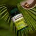 Organic Haritaki Tablets | Detox & Rejuvenate* | 90 Ct | Fair Trade - Buy Online on GoSupps.com
