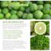 Healing Solutions Bergamot Essential Oil 120ml - Premium Aromatherapy Oil for Relaxation & Wellness - Buy Online on GoSupps.com