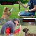 Professional Dog Training Clicker and Whistle 2-in-1 - Effective Pet Trainer with Lanyard for Dogs Cats- Practical Puppy Training Tools for Obedience and Behavior Commands - Buy Online on GoSupps.com