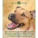 Trust Nature Organic Dental Care Powder for Dogs & Cats | Combat Plaque & Freshen Breath | Natural Ingredients | Made in Germany - Buy Online on GoSupps.com