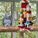Rypet Bird Chewing Toy - Wooden Block Bite Toy for Small & Medium Parrots - Buy Online on GoSupps.com