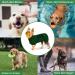 BasVII Microfiber Dog Bathrobe | Extra Absorbent Quick Drying Velcro Fastener | Adjustable for Small Medium Large Dogs - Green - Buy Online on GoSupps.com