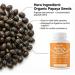 Elava Papaya Seed Capsules Papaya Seeds Organic Digestive Herbal Blend with Turmeric Ginger Peppermint & Fennel Non-GMO Gluten & Lactose Free 60 Capsules 1 - Buy Online on GoSupps.com
