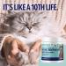 Great Kidneys Natural Cat Kidney Support Treats - Chicken Flavor - Made in USA - Buy Online on GoSupps.com