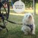 Hiking Paw Bicycle Line: Optimal Dog Bike Spacers for Safe City & Nature Rides | Durable Leash & Holder for Dog Owners - Buy Online on GoSupps.com