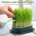 Hejo 2 PCS Cat Grass Seed Tray Plant Bowls for Cat Grass Catnip Cat Grass Box with 1 Plastic Scissors Plastic Soil Free Cat Plant Planting Box for Planting Cat Grass - Buy Online on GoSupps.com