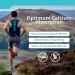 TRUE PROTOCOLS - Vitamin D-K2 Balance - Vitamin D3 (1000 IU) + Vitamin K2 MK7 (120 mcg) + Vitamin A (500 IU) - 240 Bioavailable Softgels For Strong Bones & Improved Muscle Function - 100% Non-GMO D3 K2 A Supplement 240 count (Pack of 1) 240.0 - Buy Online on GoSupps.com