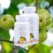 Hannes Pure Lebenslust Garcinia Cambogia - 60 Capsules 1 Month Supply No Artificial Additives - Buy Worldwide! - Buy Online on GoSupps.com