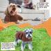 Microfiber Dog Bathrobe Towel | Extra Absorbent Fast-Drying Dog Bathing Robe with Adjustable Straps | Perfect for Small & Large Dogs (Brown - S) - Buy Online on GoSupps.com