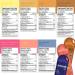 Krono Nutrition Energy Gels - Made with Natural Ingredients - Vegan - Gluten Free - 24 count (Variety Pack) - Buy Online on GoSupps.com