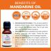 Ganga Ayurveda Kiah Essentials Tangerine Essential Oil - 100% Natural & Therapeutic (15 ML) - International Shipping Available - Buy Online on GoSupps.com