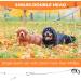 EXPAWLORER Chew Proof Retractable Dog Lead - Dual Extendable Reflective Lead for 2 Dogs, 5M Heavy Duty Double Lead for Small, Medium & Large Dogs - Buy Online on GoSupps.com