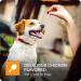 VETIQ Hip and Joint Supplement for Dogs 180 Chicken Flavored Soft Chews - Vet Recommended Standard Strength - Buy Online on GoSupps.com