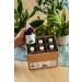 Organic Cranberry Juice 6 Pack | 100% Cold-Pressed Vegan No Sugar No Preservatives - Berriespolska  - Buy Online on GoSupps.com