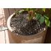 12 Pcs 8.47 x 6.3inch Cat Scat Mat with Plastic Spikes Cat Deterrent Mats Scat Mat for Cats Pest Prickle Strips from Digging Include 6 Staples and 6 Zip Ties - Buy Online on GoSupps.com