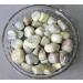 Jet Energized Serpentine Tumbled Stone - 100g A++ | High Grade Healing Crystal | Metaphysical Therapy - Buy Online on GoSupps.com