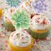 Succulents Theme Cupcake Toppers - Buy Online on GoSupps.com