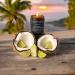 Buy Tropical Coconut Lime Verbena Candle - Premium Soy & Coconut Wax - International Shipping Available - Buy Online on GoSupps.com