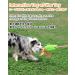 Buy Schitec Interactive Dog Toys - Training Rope & Squeaky Dashy Toys for All Dog Sizes | Fun & Durable Chenille Design - Buy Online on GoSupps.com