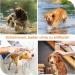 DEWEL 2PCS Adjustable Waterproof Tick Collar for Dogs & Cats - 63.5cm Flea Prevention - Buy Online on GoSupps.com