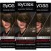 Syoss Color Coloration 4_98 Paris Brown Level 3 (3 x 115 ml) permanent coloring for up to 10 weeks of color intensity and 70 % less hair break* Paris Brown 115 ml (3 pack)