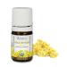 Organic Helichrysum Essential Oil 100% Pure Undiluted Helichrysum italicum Therapeutic Grade Premium Quality Aromatherapy Oil Tested & Verified 5ML 1 Fl Oz (Pack of 1)