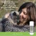 Nutrani Paws Beeswax Balm for Dogs & Cats - 100ml | 100% Natural Paw Care & Protection - Buy Online on GoSupps.com
