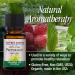 Organic Peppermint Essential Oil - 100% Pure Aromatherapy Oil for Diffusers, 15ml | Nature's Answer - Buy Online on GoSupps.com