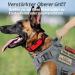 Rabbitgoo No Pull Dog Harness for Medium & Large Dogs Tactical Adjustable Vest with Metal Buckles & Padded Support - Breathable Military-Grade Design (Gray) - Buy Online on GoSupps.com