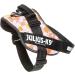 Julius-K9 Baby Boys IDC Powerharness Dog Harness - Pink with Flowers 2XL/3 | International Shipping Available - Buy Online on GoSupps.com