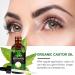 Jamaican Black Castor Oil Pure Cold Pressed Castor Oil for Eyebrows Eyelashes Hair Growth Nails and Skin with 1 Set of Eyebrow & Eyeliner Brushes 60ml - Buy Online on GoSupps.com