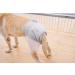 Petmia Washable Dog Diapers - Hygiene Underpants for Dogs in Heat 5 Sizes (XS-XL) - Beige XL 60-82cm - Buy Online on GoSupps.com