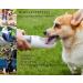 PETKIT Dog Water Bottle with Filter - Leak Proof Portable Water Bowl for Walking, Hiking, Travel - Outdoor Pet Dispenser Bottle 14oz (WHITE) - Buy Online on GoSupps.com