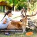 Himalayan Nature 100% Natural Rock Deer Salt Block 2-5 lbs - Animal Licking Mineral Salt Block - Buy Online on GoSupps.com