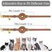 Oopsdoggy Leather Airtag Cat Collar with Bells - Durable Light GPS Collar for Cats & Small Dogs - Apple Airtag Holder - Perfect for Puppies (Light Brown) - Buy Online on GoSupps.com