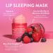 LANEIGE Lip Glowy Balm: Hydrate Glossy Lightweight Moisturize & Tint with Shea Butter Berries 'N Choco Kisses Set - Buy Online on GoSupps.com