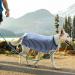 Recreational & Surgical Recovery Suit for Dogs & Cats - Postoperative Protection Prevent Licking 3XL Size - Buy Online on GoSupps.com
