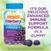 Emergen-C Elderberry Immune Gummies - 45 Count for Boosted Immunity - Buy Online on GoSupps.com