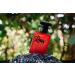 Raw Pheromone Cologne for Men - Attract and Entice with Our Powerful Scent - Buy Online on GoSupps.com