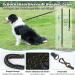 Aystkniet Bungee Dog Drag Line - 3m 5m 10m 15m 20m 30m | Shock-Absorbing Leash with Padded Handle & Reflective Threads for Medium Large Dogs - Army Green - Buy Online on GoSupps.com