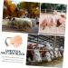 Balacoo Animal Lick Salt Block Livestock Licking Salt Livestock Salt Block Livestock Natural Salt Livestock Supplies Hanging Livestock Salt Food Salt Licking Block Nutrition Snack - Buy Online on GoSupps.com