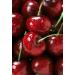 Food-United Cherries Puree Sauer Kirschen 4x1kg | Ponthier Fruit Smoothie Sorbet & Cocktail Mix | Premium Quality 4kg Puree - Buy Online on GoSupps.com