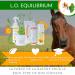 Hydra Equilibrium - Care Grease Natural Hydrating Ointment for Horses (Dry & Brittle Hoof) (Hydra Equilibrium 1000mL) - Buy Online on GoSupps.com