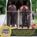 Emma Electrolyte for Horses 1L + Vitamin B12 | Essential Minerals for Optimal Equine Health - Buy Online on GoSupps.com