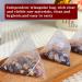 Fruit Tea Bags 240g - Buy Online on GoSupps.com